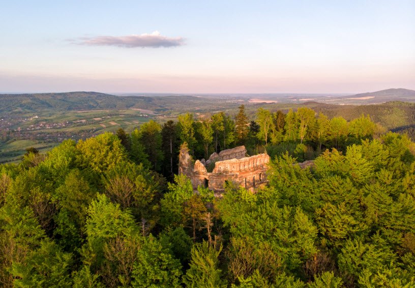 Dobromyl Castle, Ukraine, Ukraine